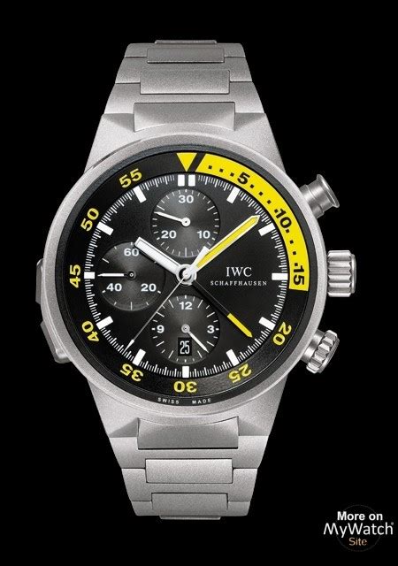 iwc aquatimer minute memory.